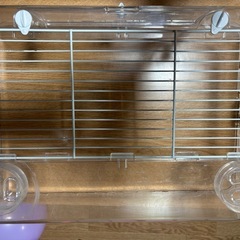 ハムスター　
ルーミィグランスペースクリアの画像