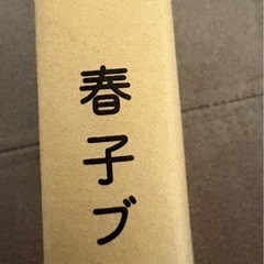 戯曲　春子ブックセンター 宮藤官九郎著の画像