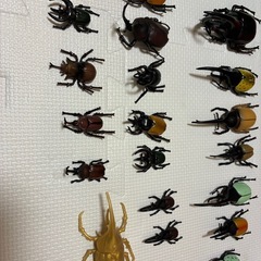 昆虫フィギュア セット 世界のカブトムシ ＆ 世界のクワガタ セット 昆虫 リアルフィギュア おもちゃの画像