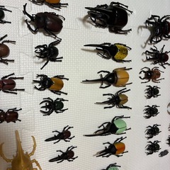 昆虫フィギュア セット 世界のカブトムシ ＆ 世界のクワガタ セット 昆虫 リアルフィギュア おもちゃの画像