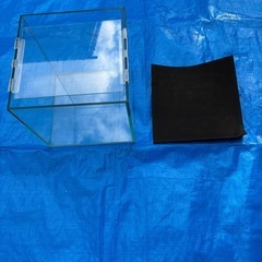 キューブ水槽の画像