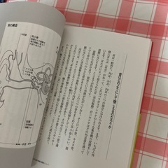 中古　できる人は右耳を持っている　CD無し　の画像