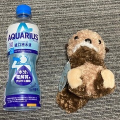 【新品・タグ付き】TAKEOFF ★ ラッコ　ぬいぐるみ　希少の画像