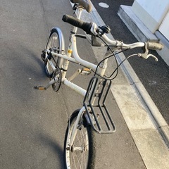 ルイガノの画像