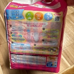 マナーウェア女の子用(Mサイズ)の画像