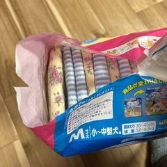 マナーウェア女の子用(Mサイズ)の画像