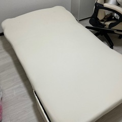 ソファベット　ホワイト  クマ　　の画像