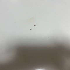 ニトリ　白のダイニングテーブルセットの画像