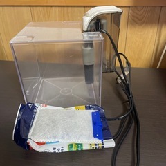 金魚、メダカの水槽の画像