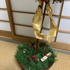 クリスマスツリーの画像