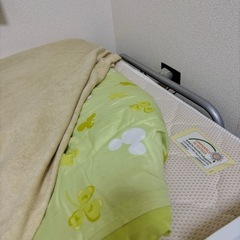  マニフレックス  マットレス（シングル）の画像