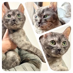 里親様急募‼︎