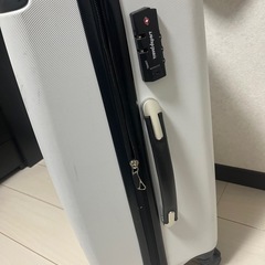 白　キャリーバッグの画像