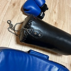 サンドバッグ、グローブ、トレーニングセットの画像
