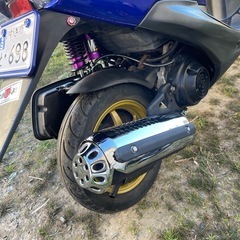 Live Dio ZX仕様 の画像