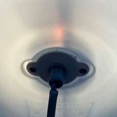 冬の電飾！の画像