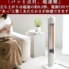 ●未使用　アウトレット品(^^♪●ヤマゼン グラファイトヒーター DCTS-A091●相模原　横浜　神奈川●の画像