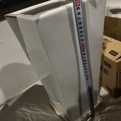 40cm 鉢植えの画像