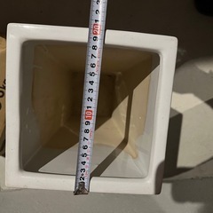 40cm 鉢植えの画像