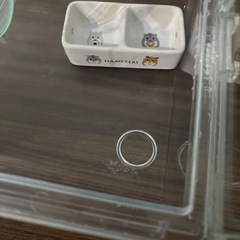 【ハムスター飼育ケース】GEX グラスハーモニー360プラス ＆ マルカン ダブル食器の画像