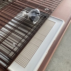 ペットサークル小型犬用+キャリーケース◆犬ケージ＊きれいです◆臼杵市お取引希望の画像