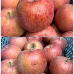 美味しい完熟サンふじ🍎 秀品小玉 1kg〜の画像