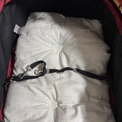 ペットカート　折りたたみの画像