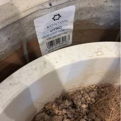 【美品!】ヤマテー　ビトロ　植木鉢の画像