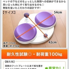 【ダイエット　フラコアディスク】の画像