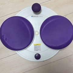 【ダイエット　フラコアディスク】の画像