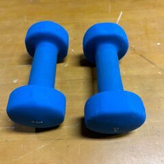 3kg ダンベル 2個セット ブルー 筋トレ・ダイエット・宅トレ用の画像