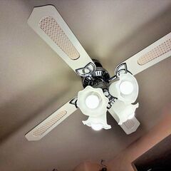 シーリングファン　LED電球付きの画像