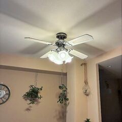 シーリングファン　LED電球付きの画像