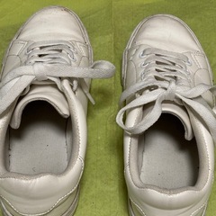 靴スニーカーの画像