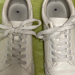 靴スニーカーの画像