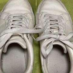 靴スニーカーの画像