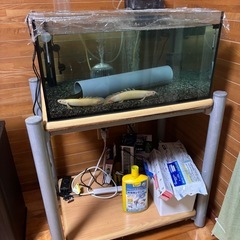 60×45水槽セットの画像