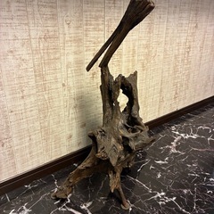 流木❗️の画像