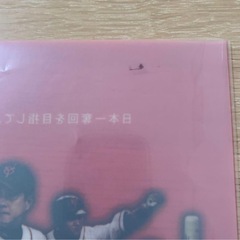ジャイアンツ　クリアファイルの画像