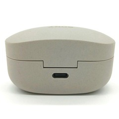 SONY ソニー WF1000XMの画像