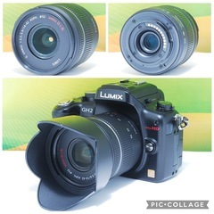 美品✨ショット数わずか約4000枚✨LUMIX DMC-GH2 レンズキット スマホ転送 レンズセット ミラーレス一眼の画像