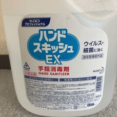 手指消毒剤 ハンドスキッシュEXの画像