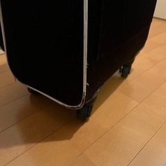 キャリーバッグ の画像