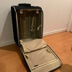 キャリーバッグ の画像