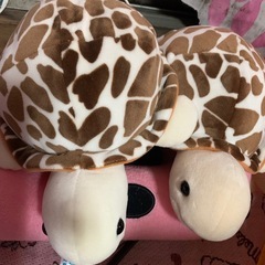 ぬいぐるみ  水族館限定の画像