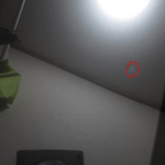 ★　スイッチ 任天堂　Nintendo Switch ゲーム　ポータブルゲーム　★　の画像