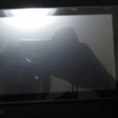 ★　スイッチ 任天堂　Nintendo Switch ゲーム　ポータブルゲーム　★　の画像