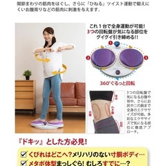 【ダイエット　フラコアディスク】の画像