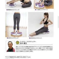 【ダイエット　フラコアディスク】の画像