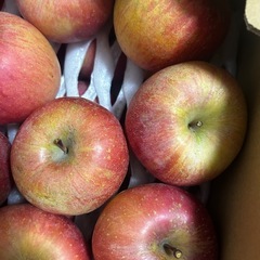 サンフジ
の画像